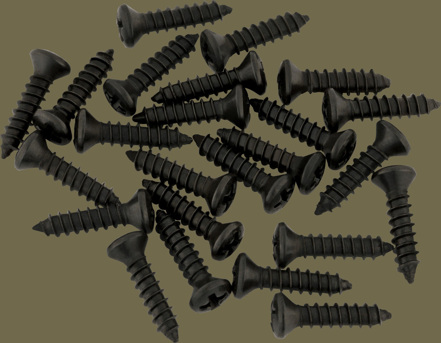 Pickguard - Control Plate Mounting Screws (24)