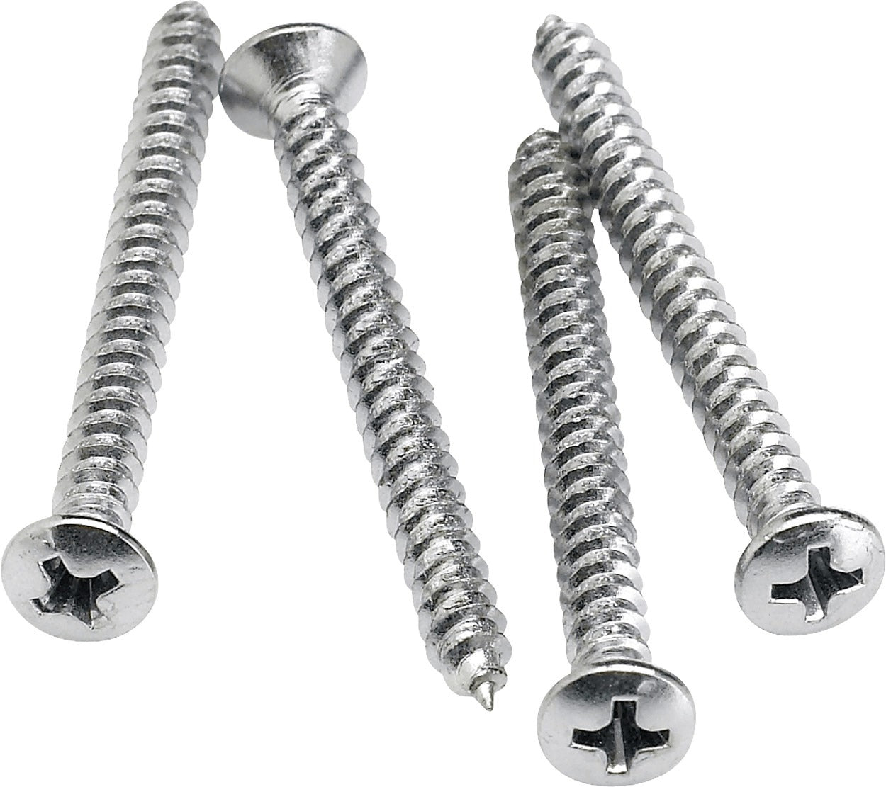 Neck Mounting Screws (4)