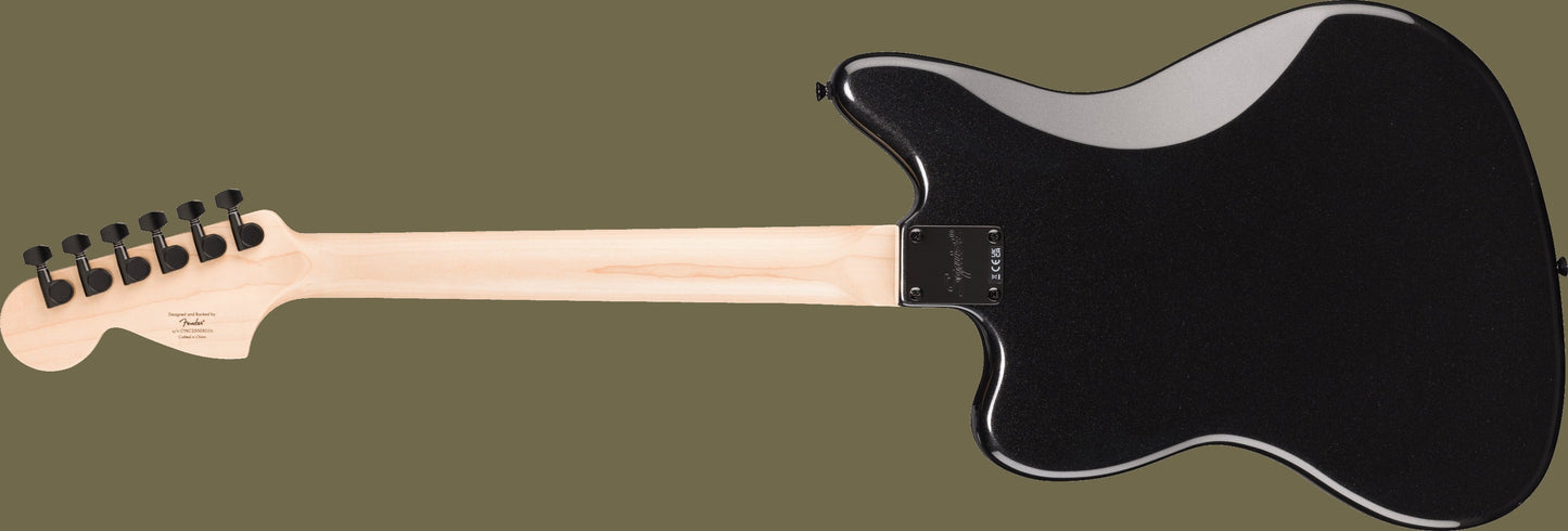 Limited Edition Affinity Series® Jaguar®, Metallic Black