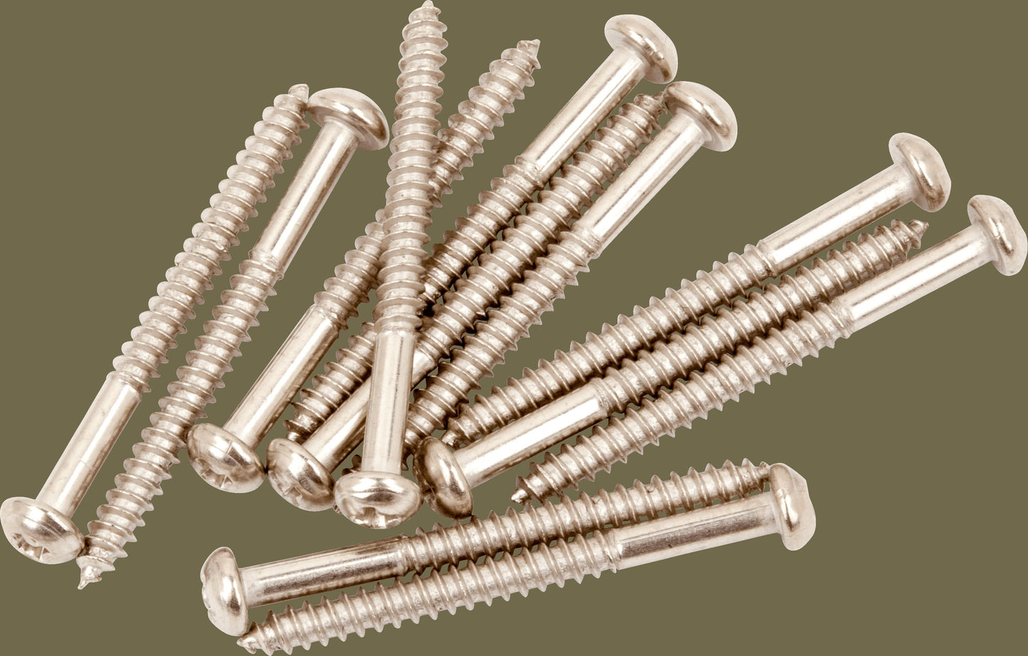 Pure Vintage Bass Pickup Mounting Screws