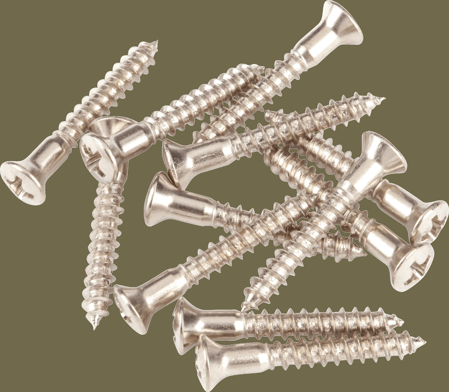 Pure Vintage Strap Button Mounting Screws