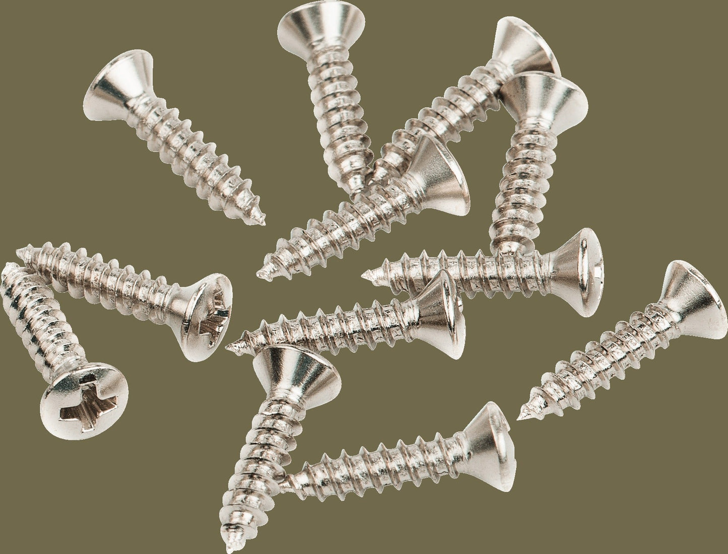Pickguard-Vintage Bridge Cover Mounting Screws