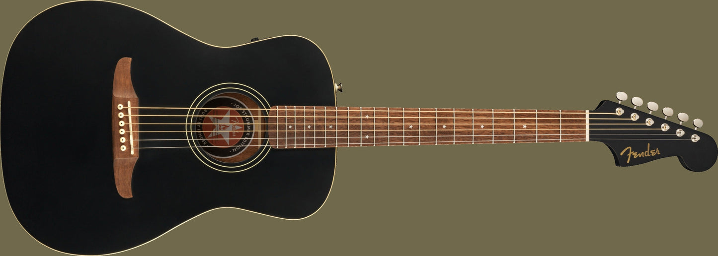 Joe Strummer Campfire Acoustic