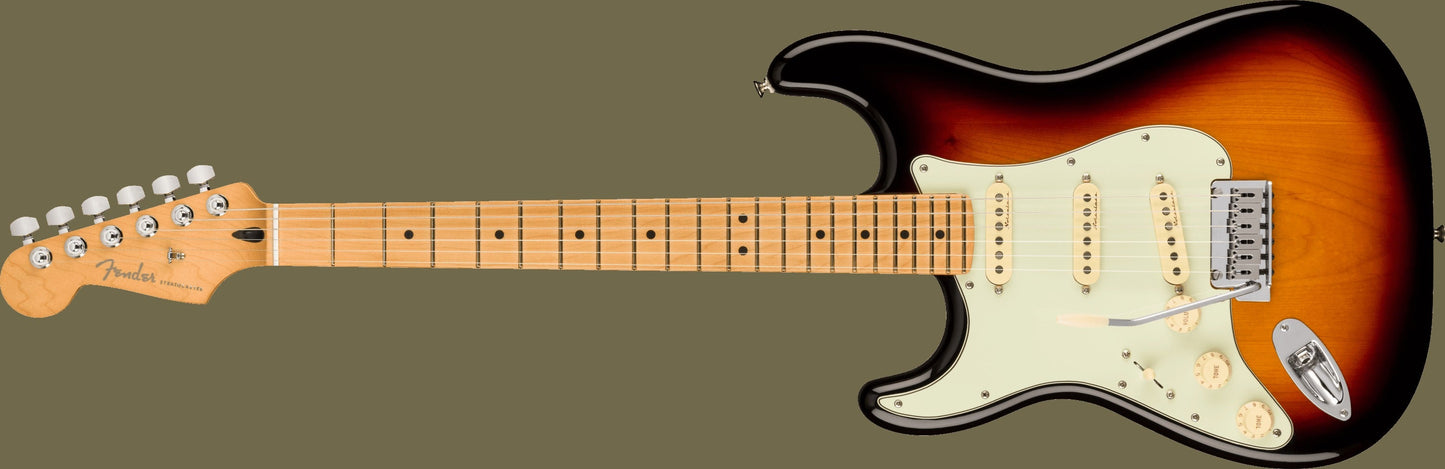 Player Plus Stratocaster® Left-Handed