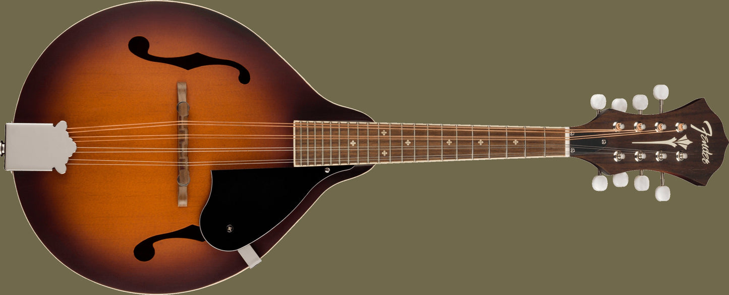 PM-180E Mandolin