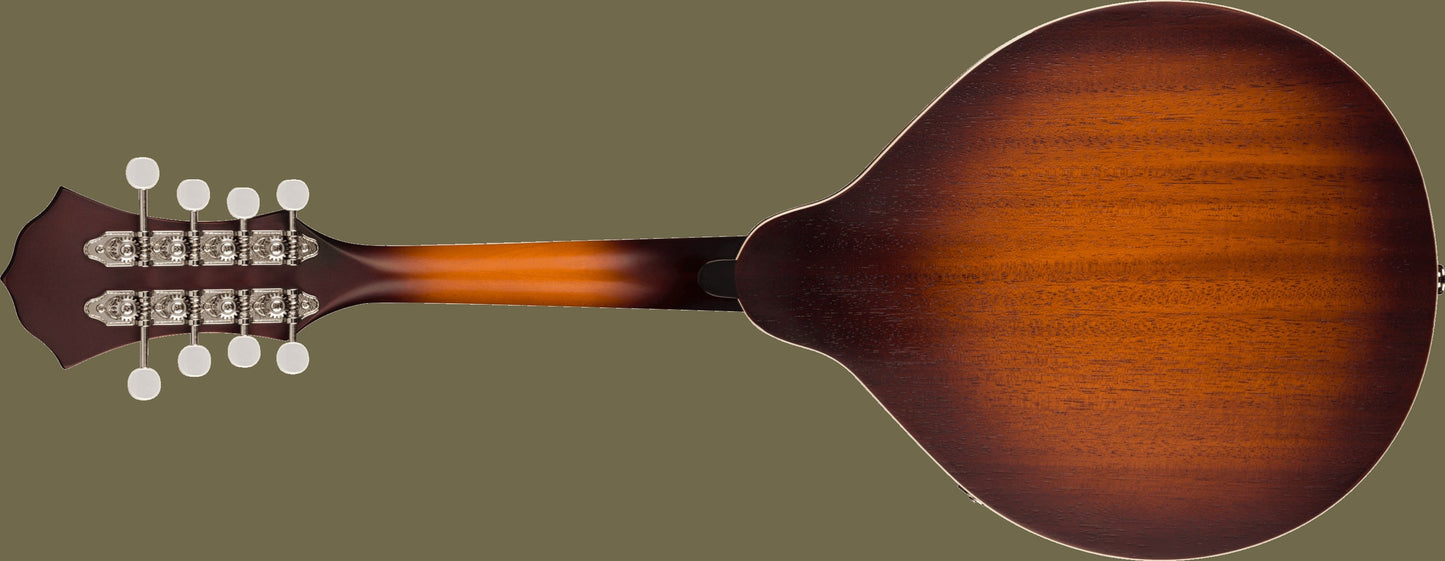 PM-180E Mandolin