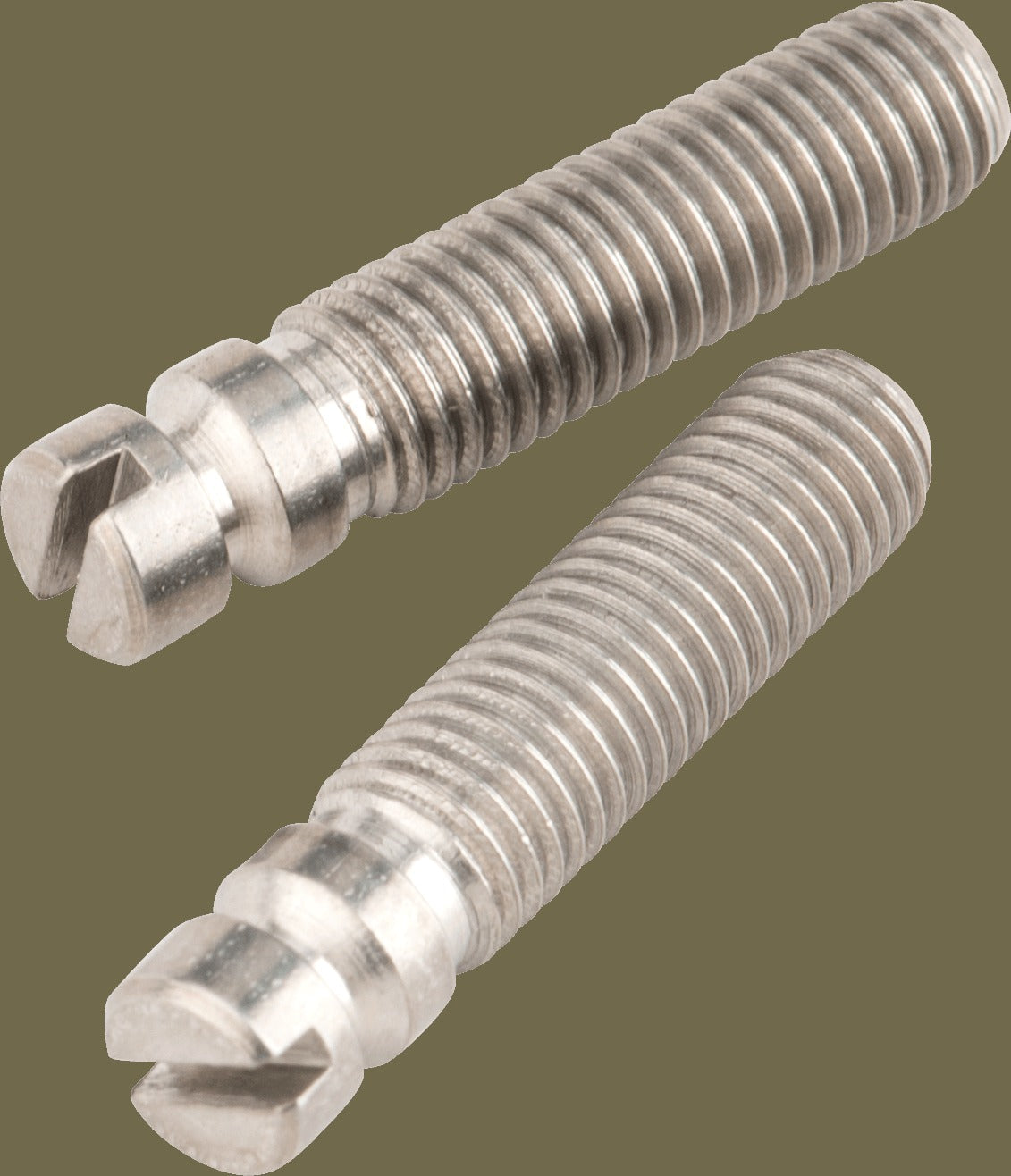 Bridge Pivot Screws (2)