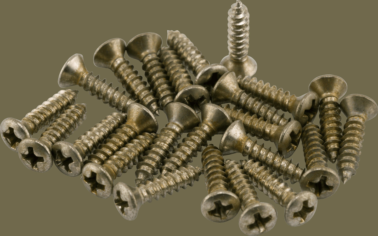 Road Worn® Pickguard/Control Plate Screws (24)