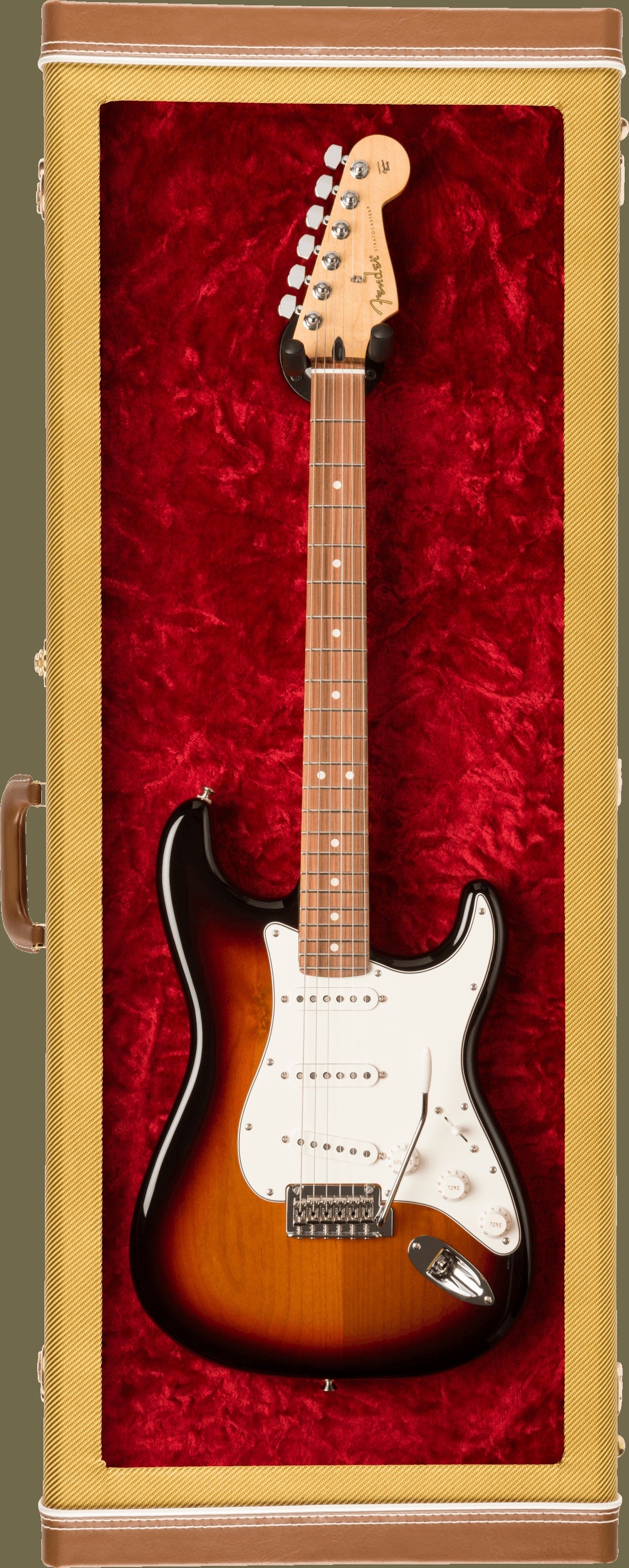 Guitar Display Cases