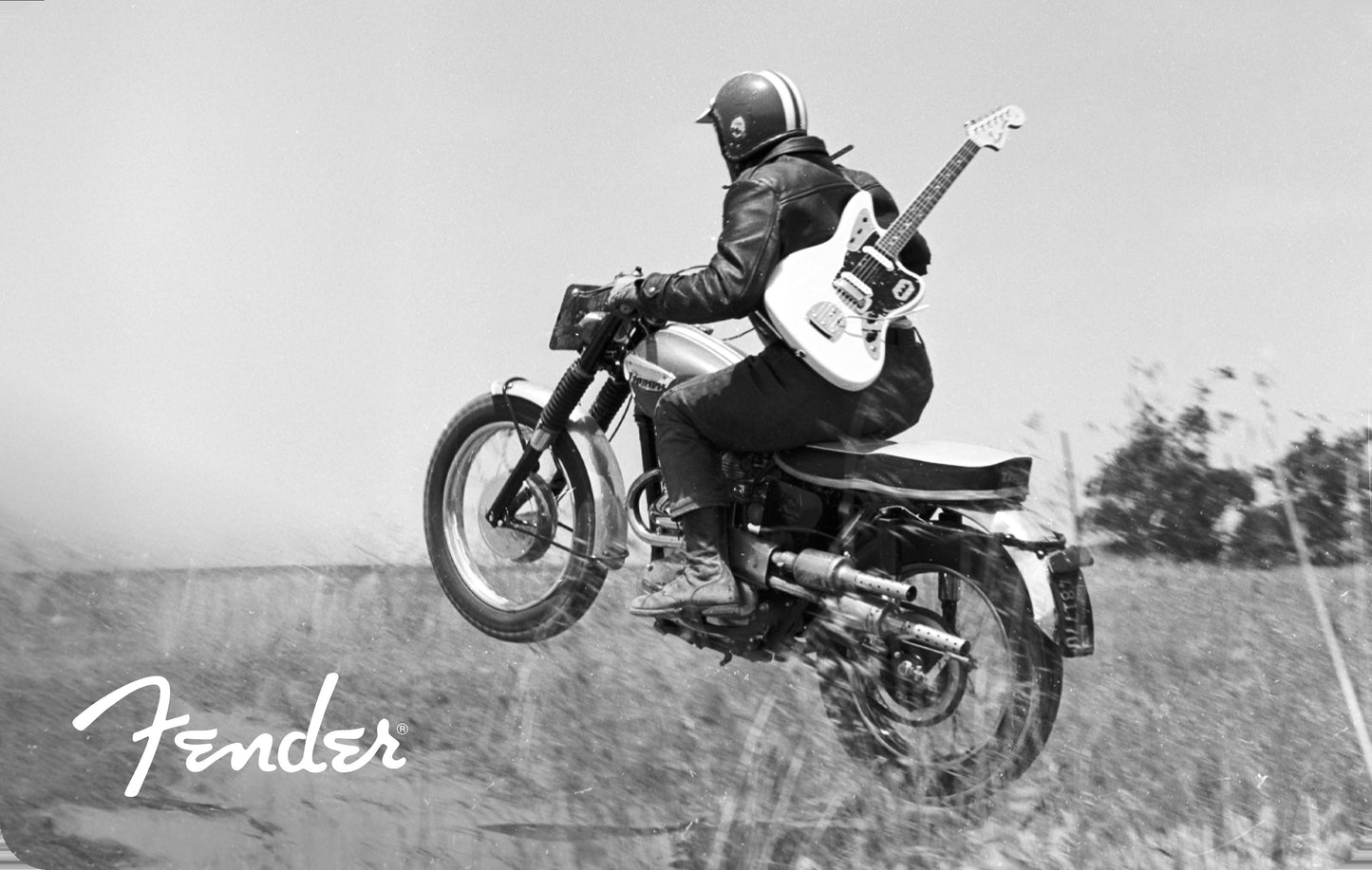 Fender Digital Gift Card