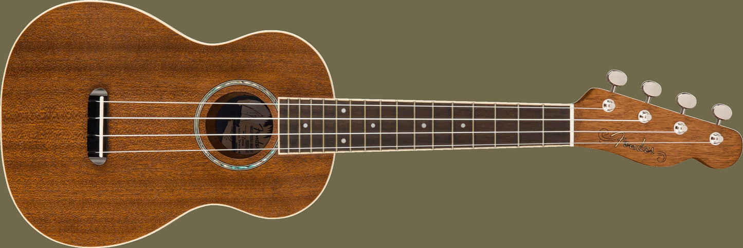 Zuma Concert Ukulele