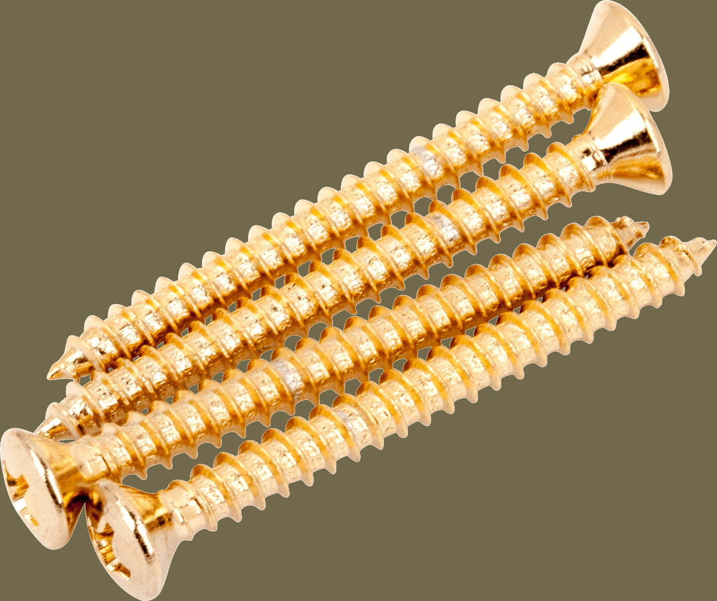 Neck Mounting Screws (4)