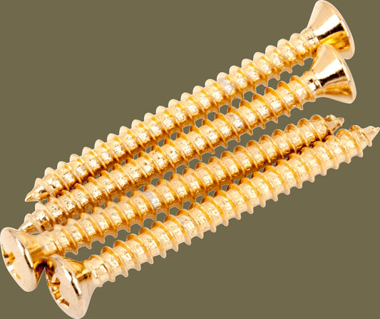Neck Mounting Screws (4)